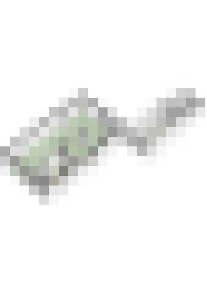 Marijkestraat 6 Beek thumbnail 41