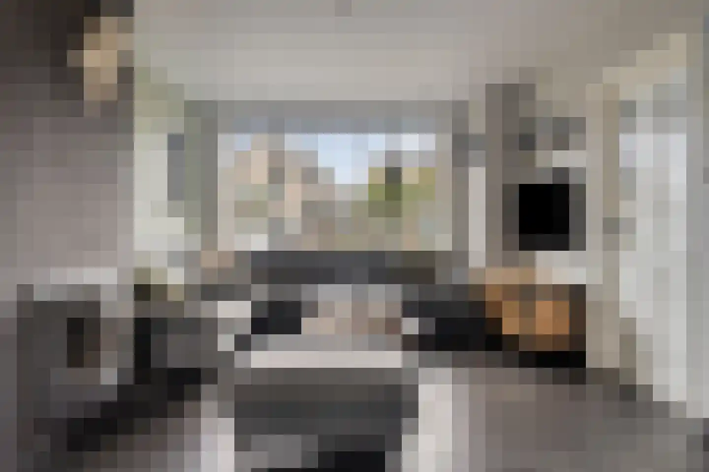 Marijkestraat 6 Hulst thumbnail 13