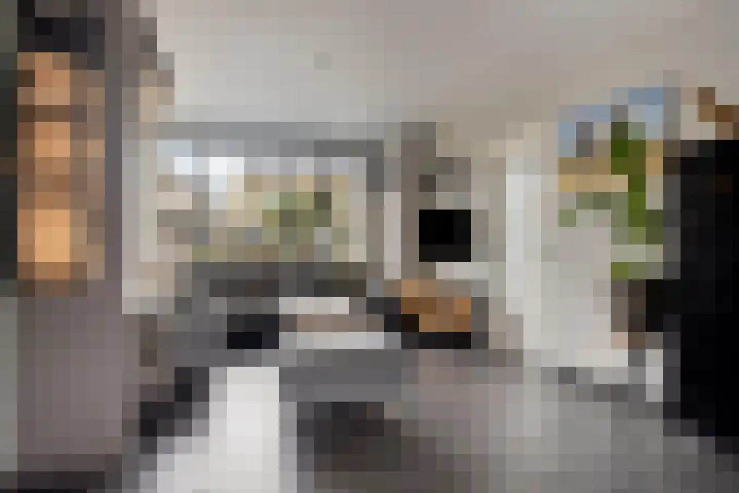 Marijkestraat 6 Hulst thumbnail 14