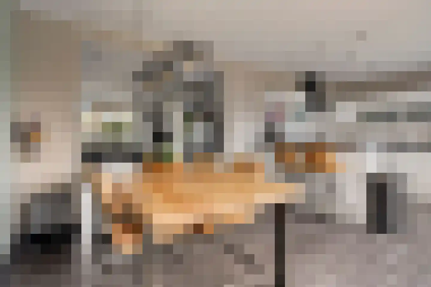 Marijkestraat 6 Hulst thumbnail 17