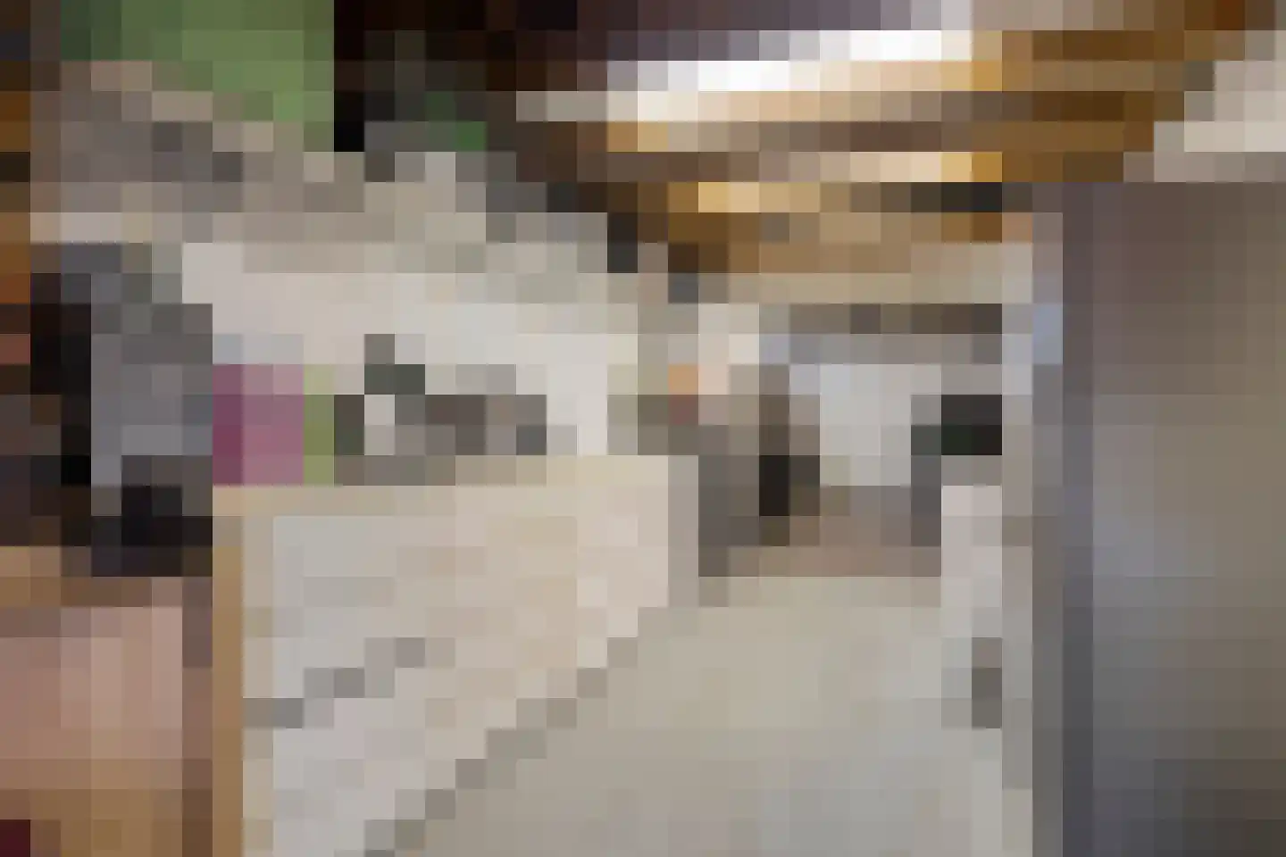 Marijkestraat 6 Hulst thumbnail 33