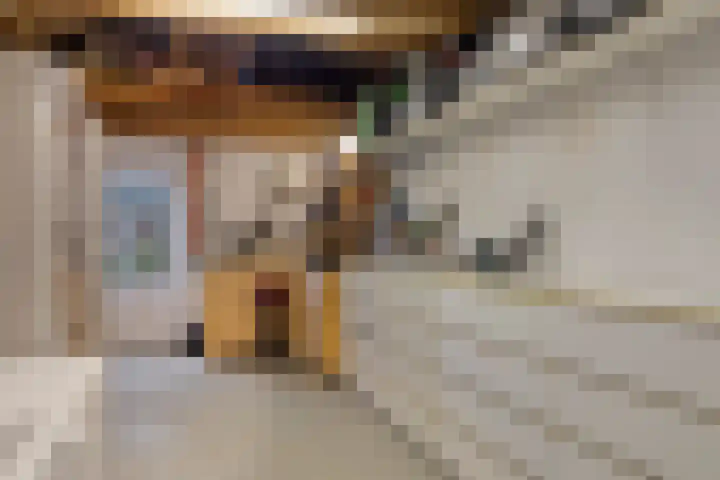Marijkestraat 6 Hulst thumbnail 34