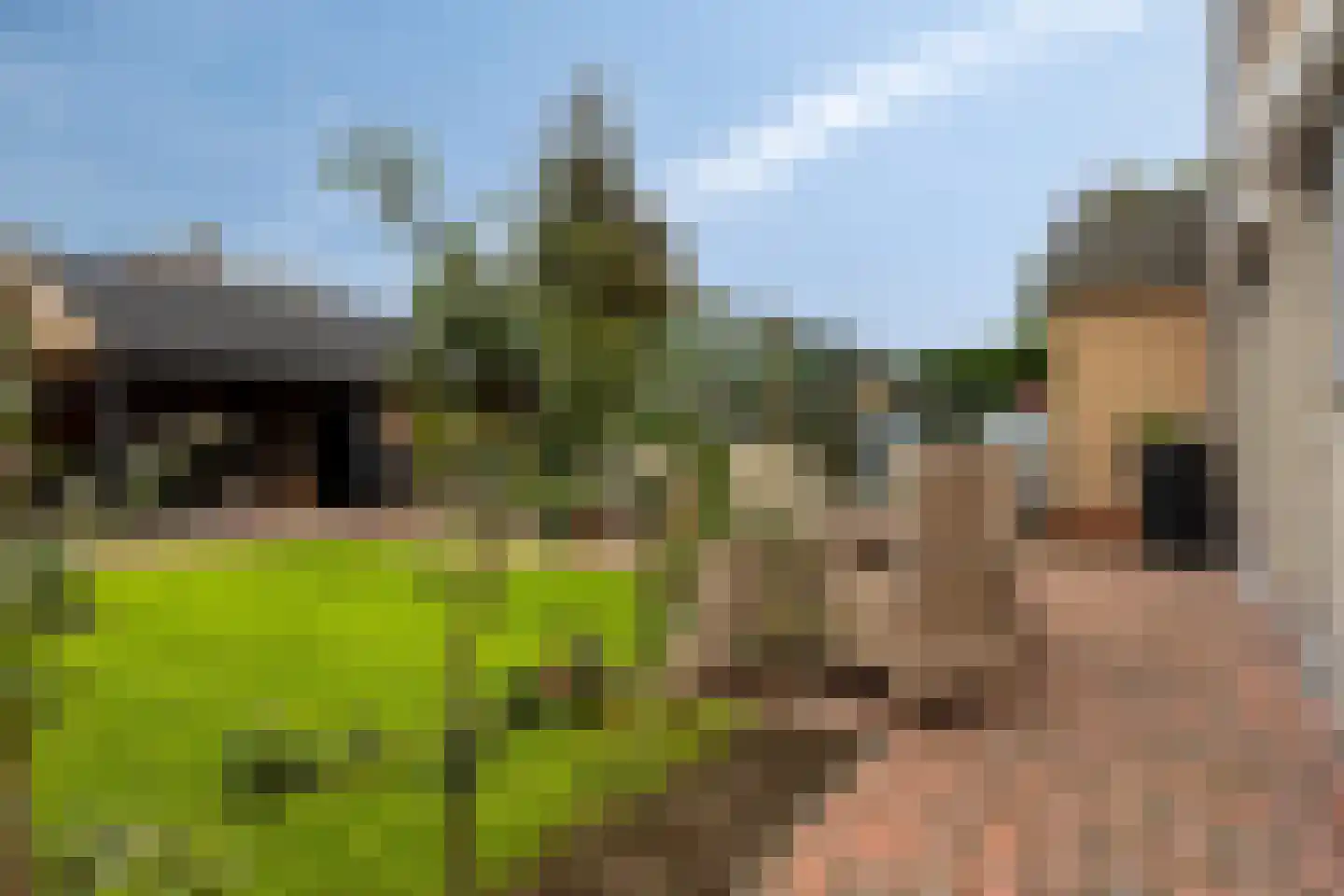 Marijkestraat 6 Hulst thumbnail 38