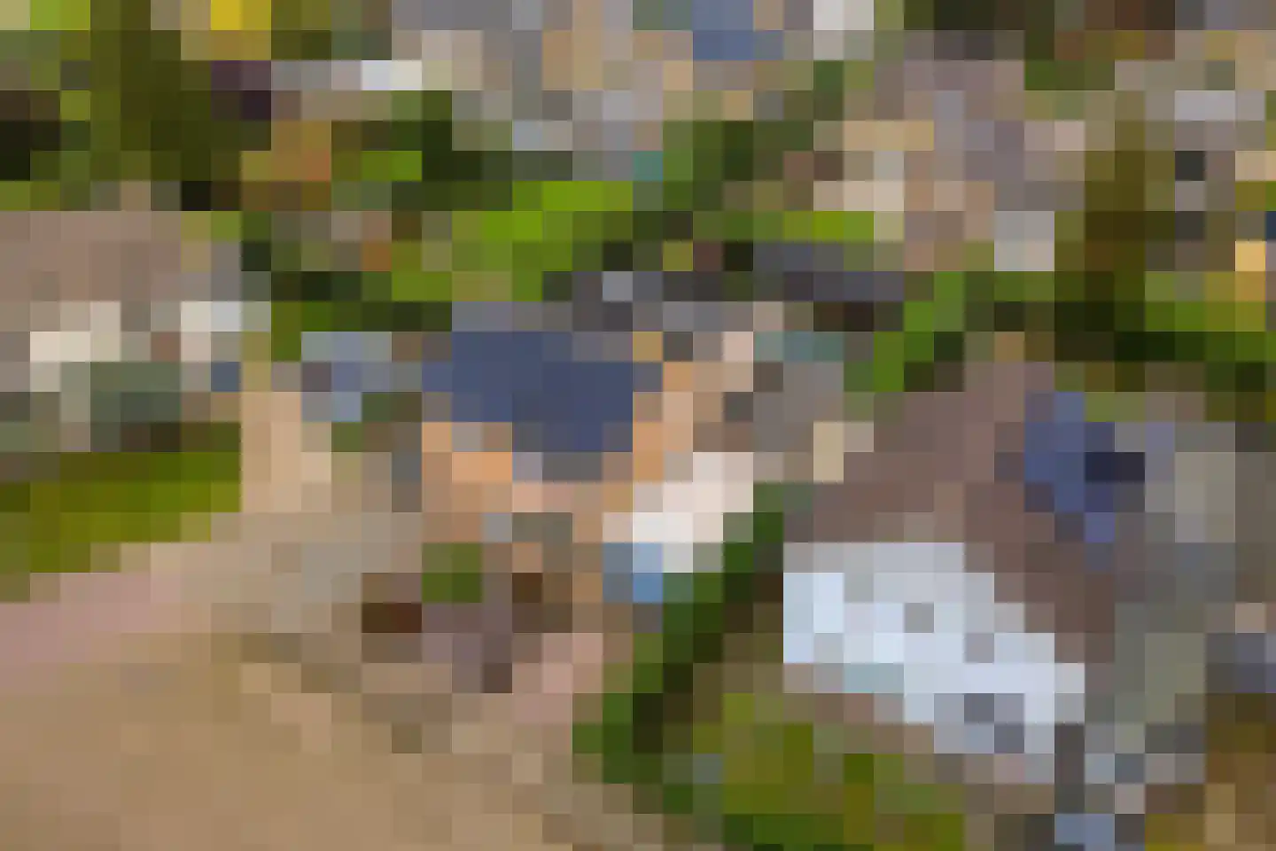 Marijkestraat 6 Hulst thumbnail 45