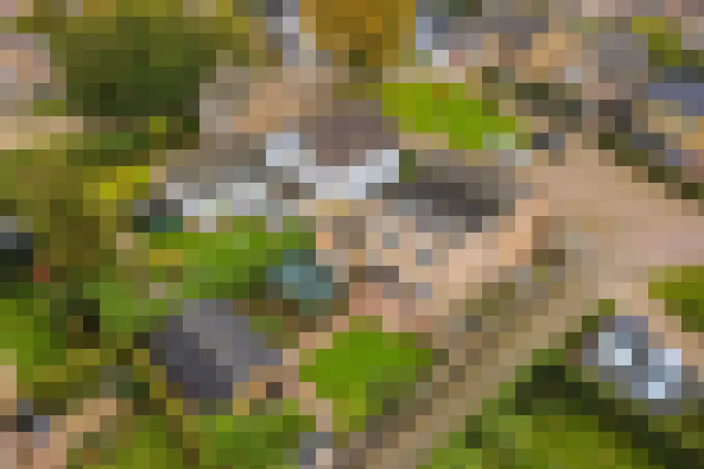 Marijkestraat 6 Hulst thumbnail 47