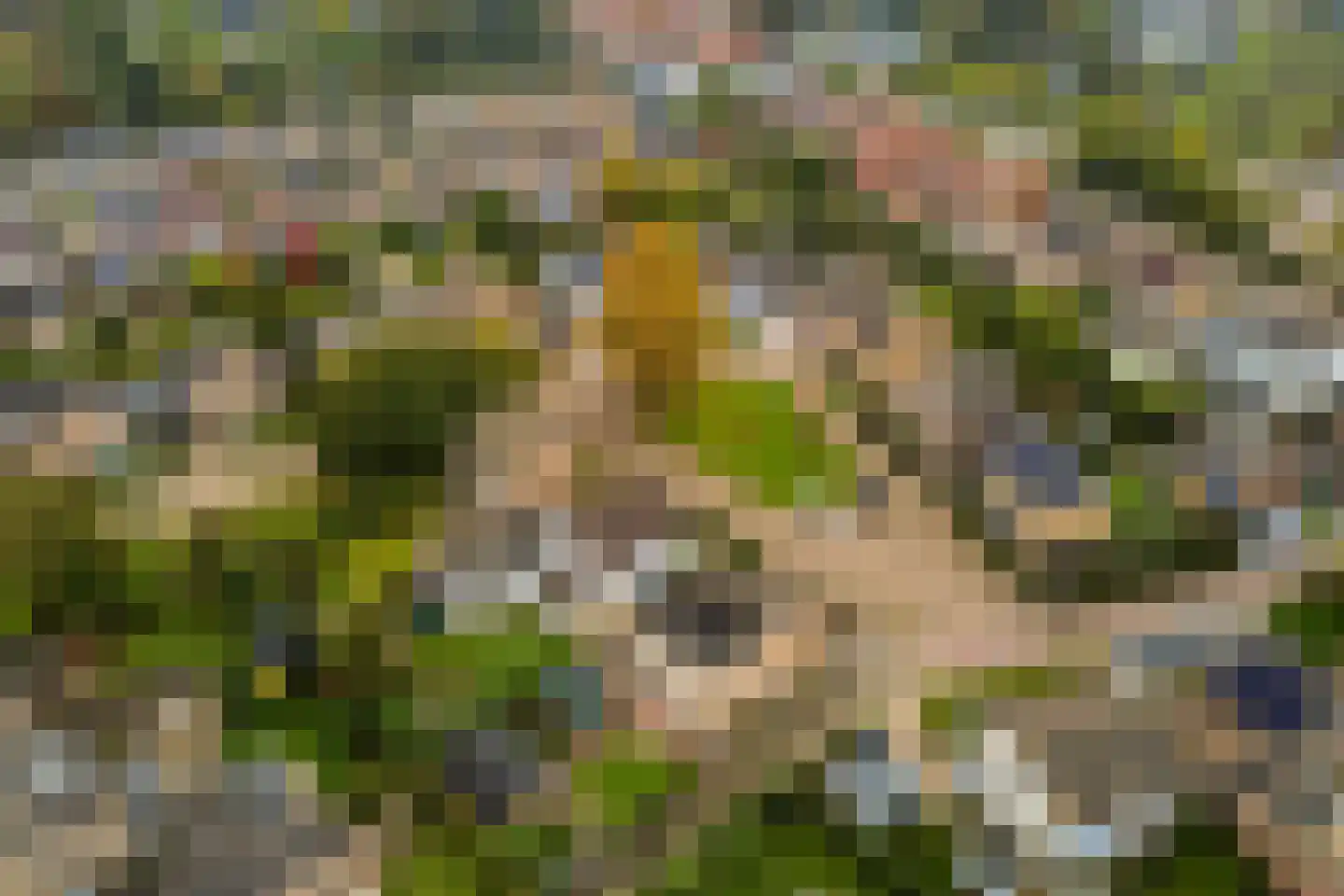 Marijkestraat 6 Hulst thumbnail 49