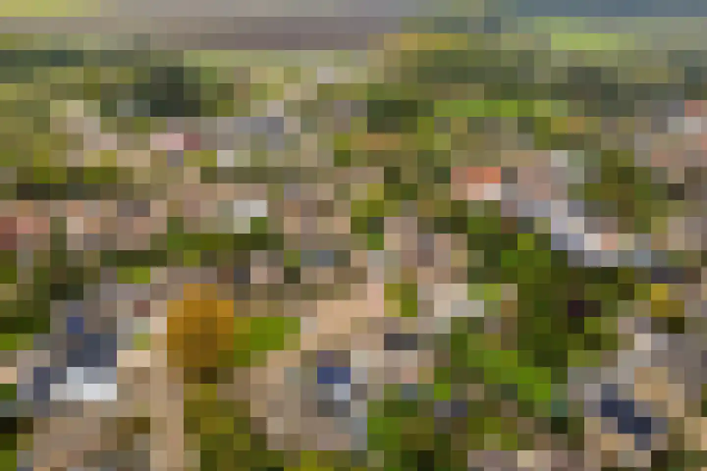 Marijkestraat 6 Hulst thumbnail 50