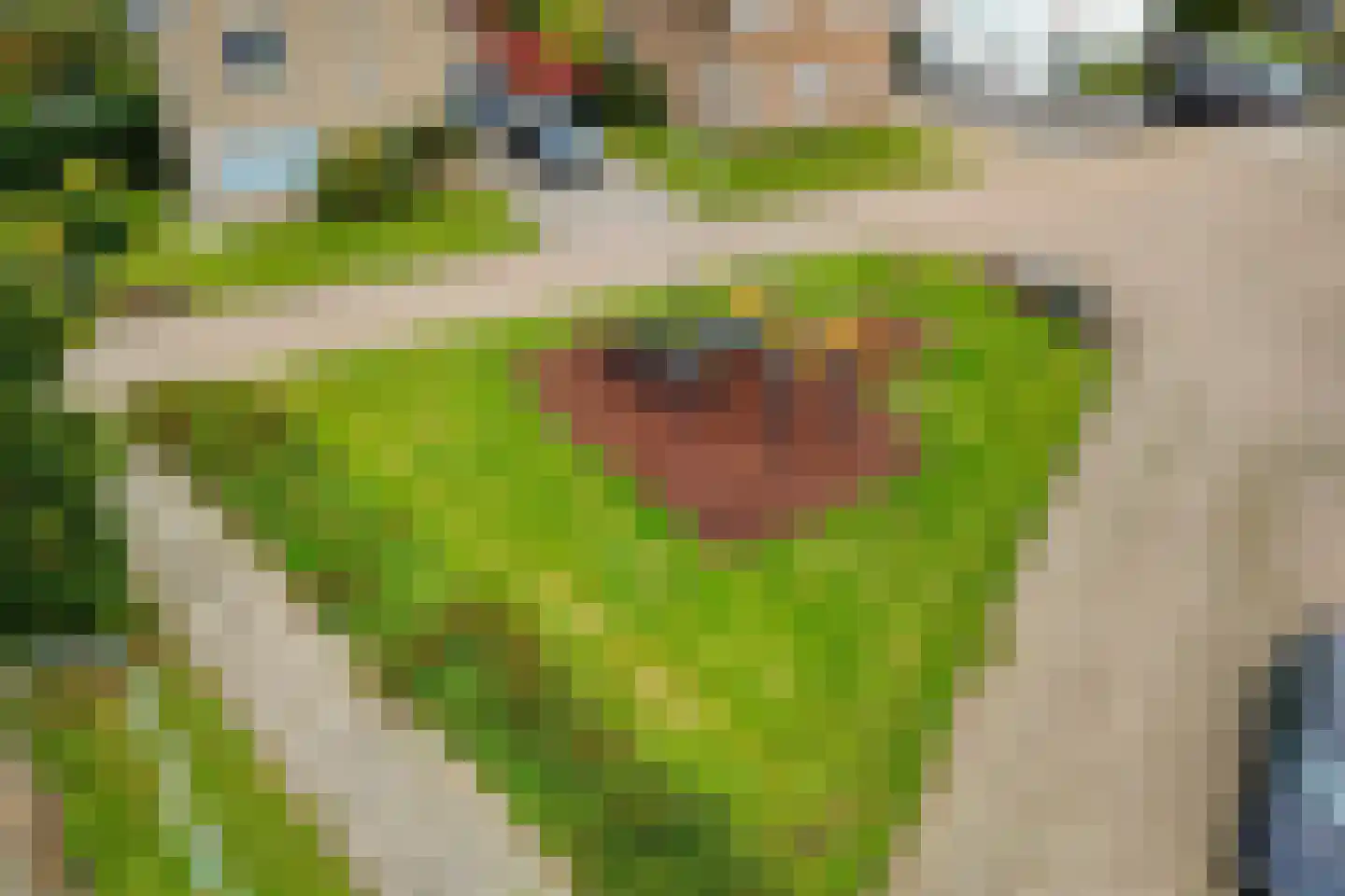 Marijkestraat 6 Hulst thumbnail 51