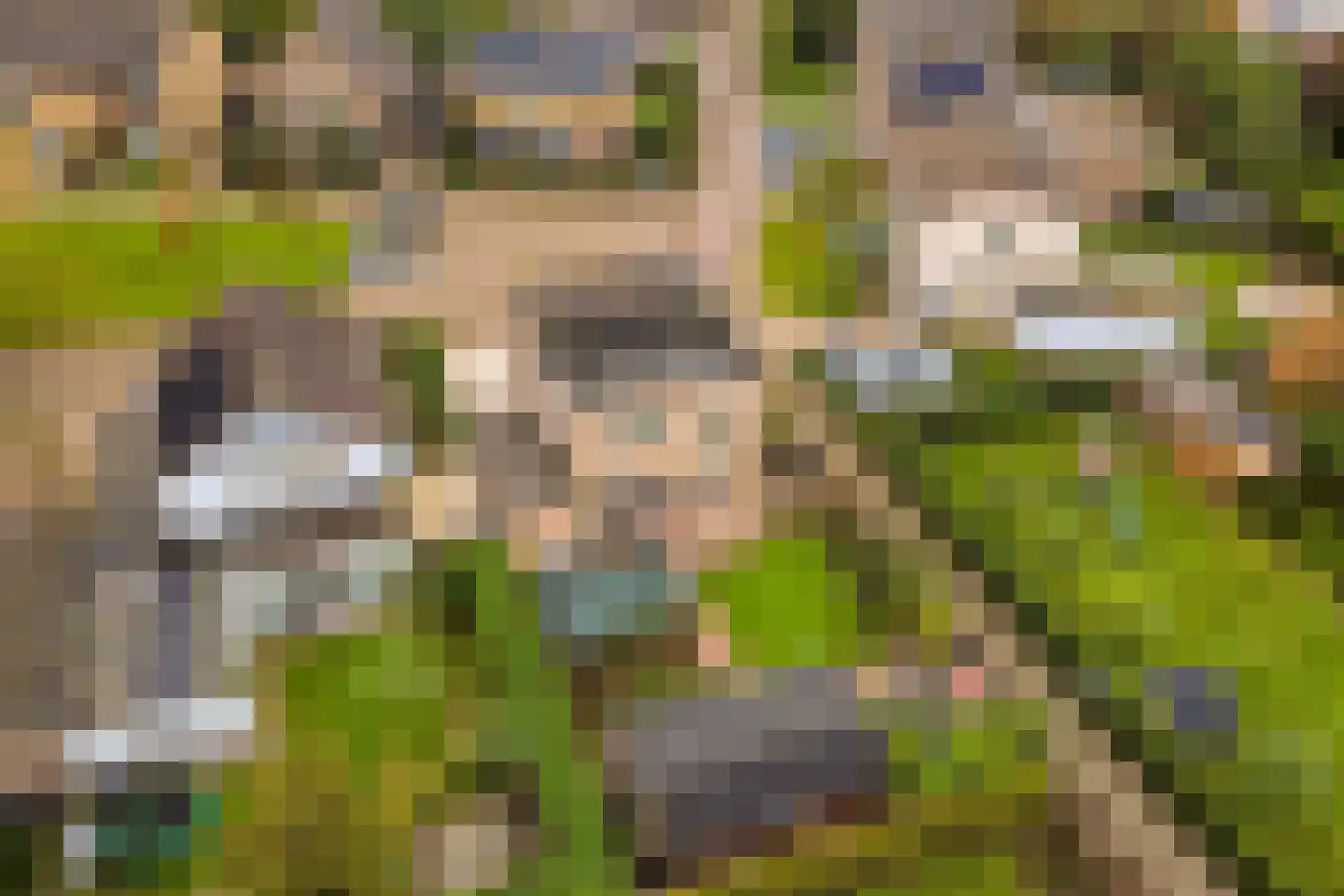 Marijkestraat 6 Hulst thumbnail 8