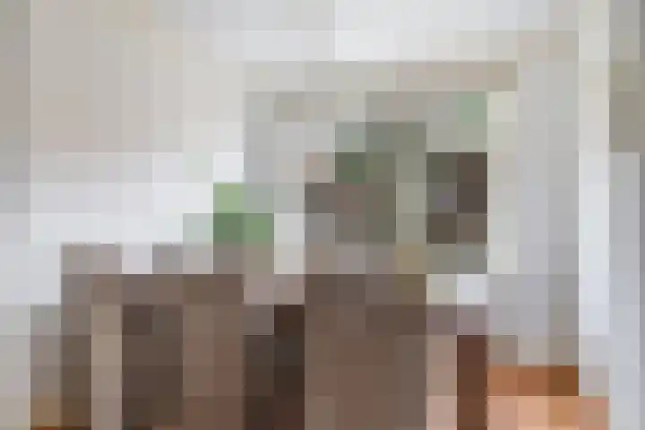Marijkestraat 6 Zetten thumbnail 20