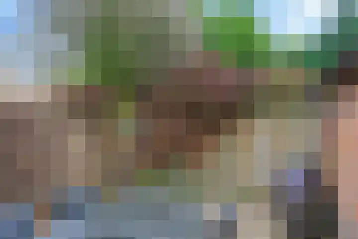 Marijkestraat 6 Zetten thumbnail 57