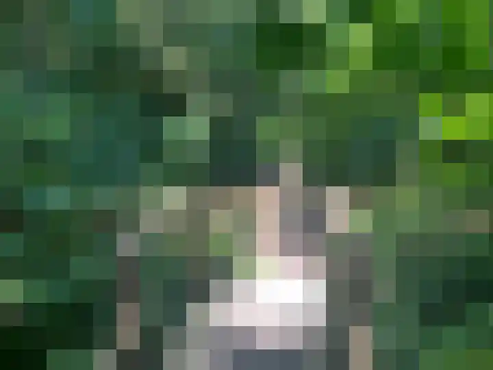 Marijkestraat 6 Zetten thumbnail 74