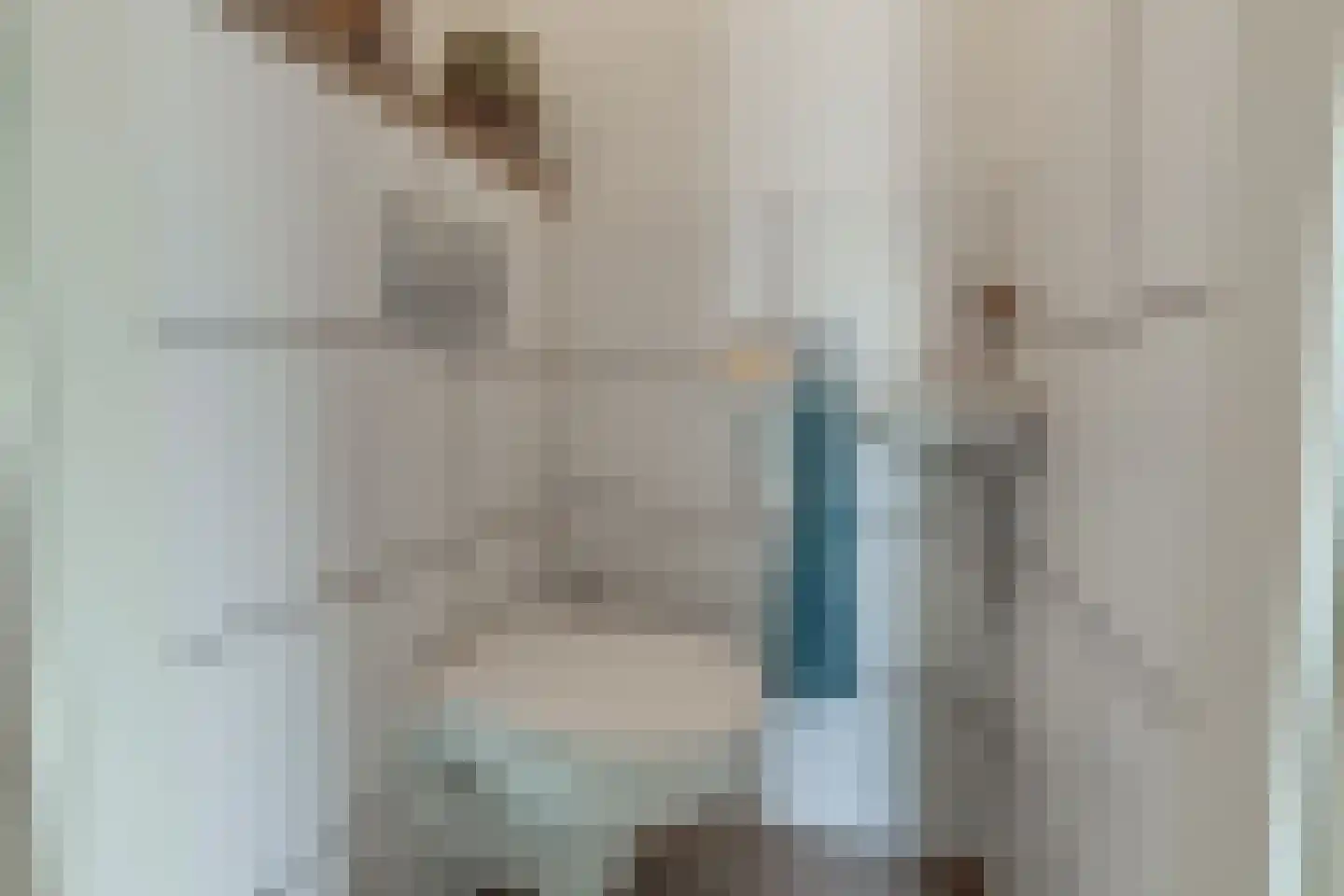 Marijkestraat 7 Dinxperlo thumbnail 11