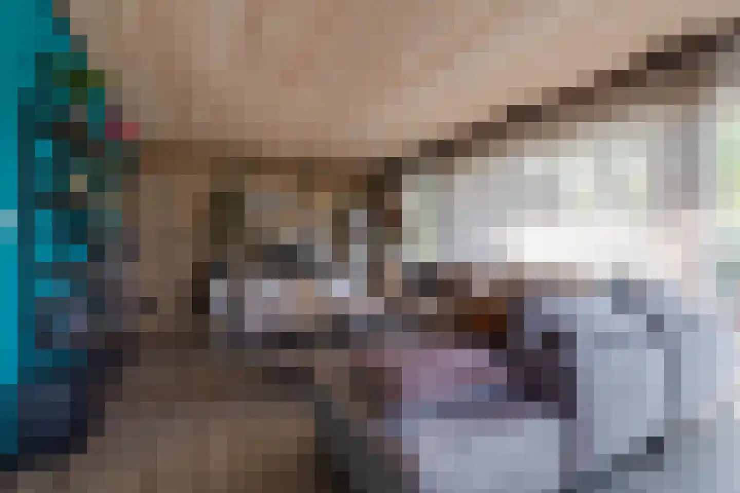 Marijkestraat 7 Dinxperlo thumbnail 16