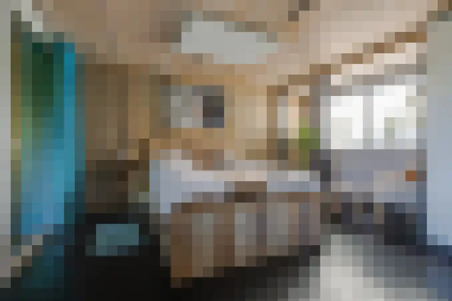 Marijkestraat 7 Dinxperlo thumbnail 20