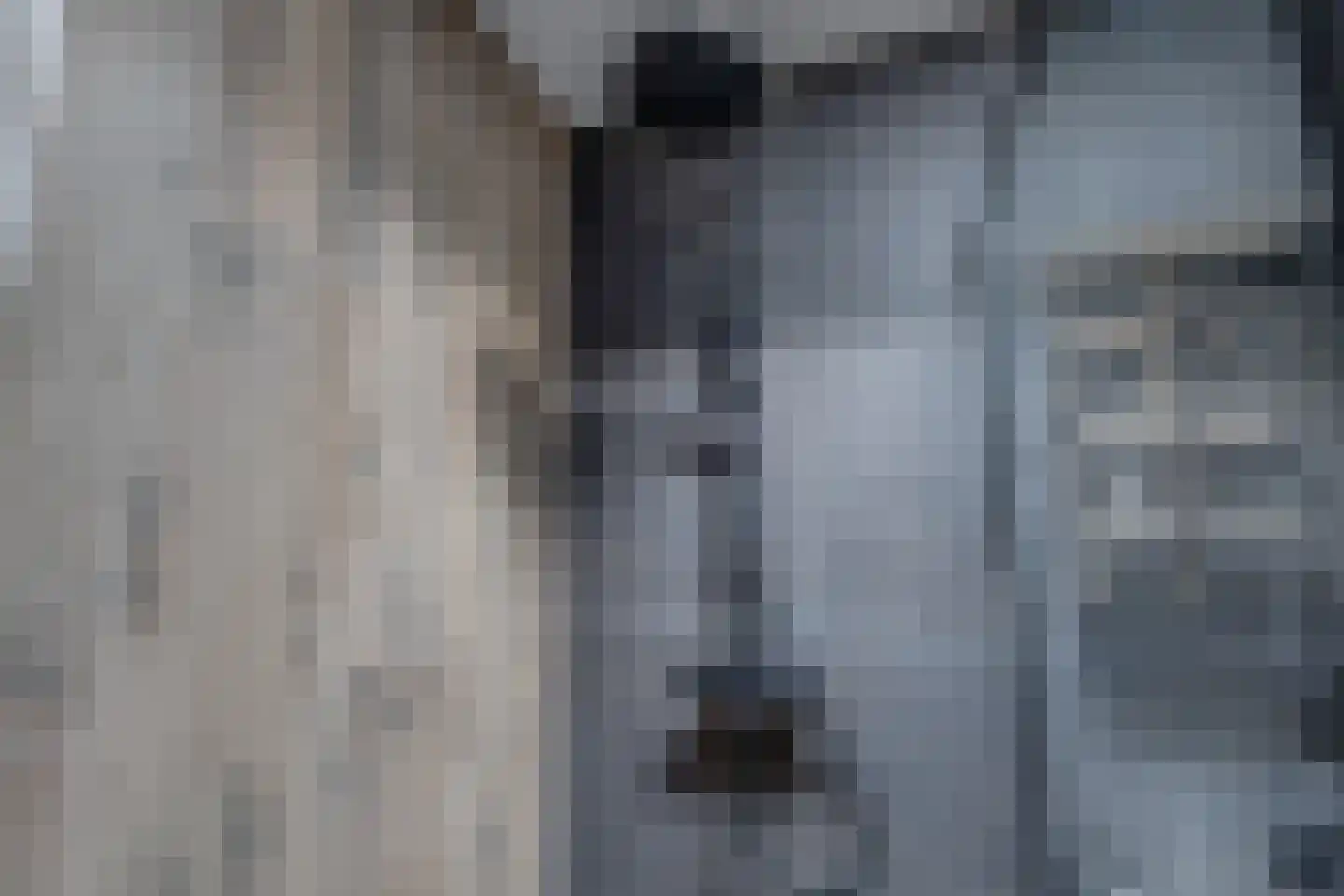 Marijkestraat 7 Dinxperlo thumbnail 22