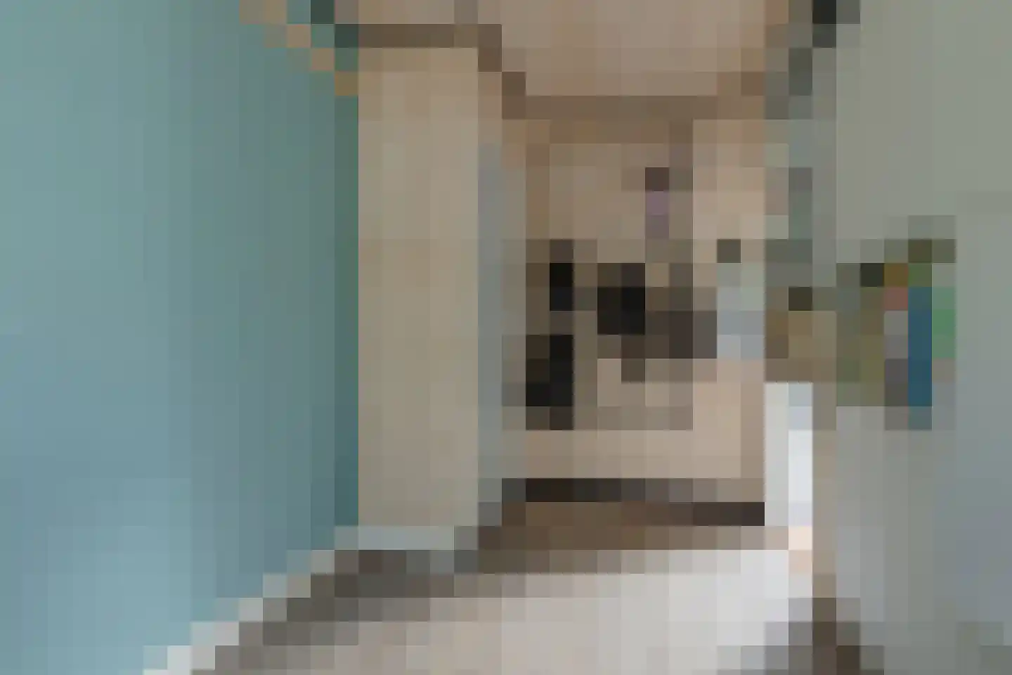 Marijkestraat 7 Dinxperlo thumbnail 31