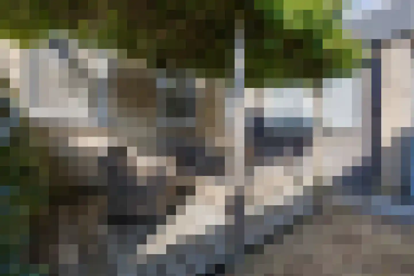 Marijkestraat 7 Dinxperlo thumbnail 39