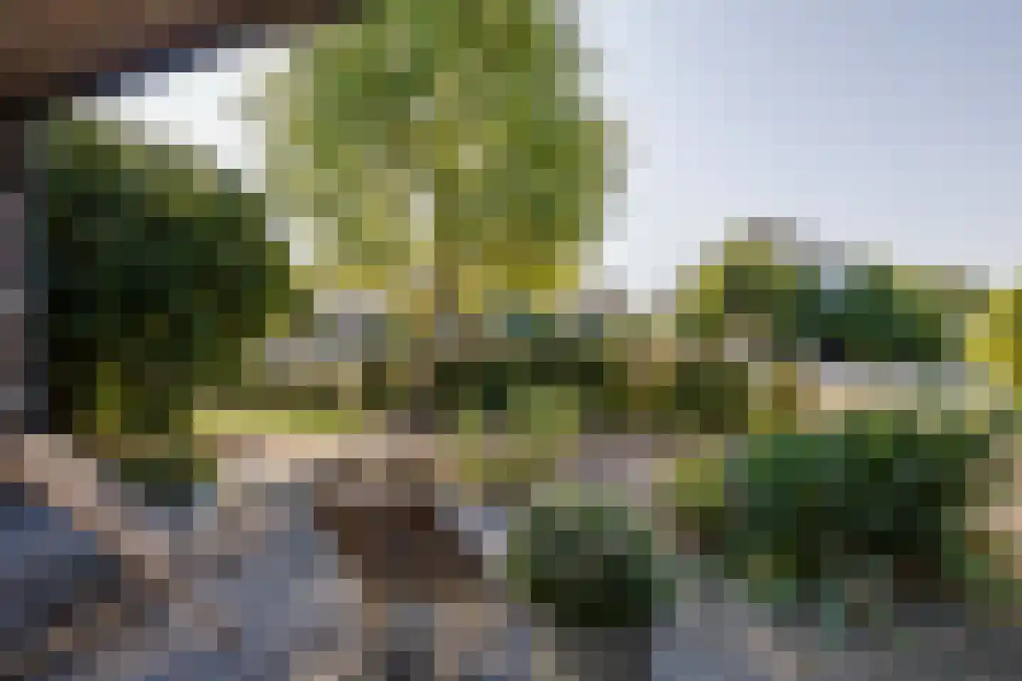 Marijkestraat 7 Dinxperlo thumbnail 43