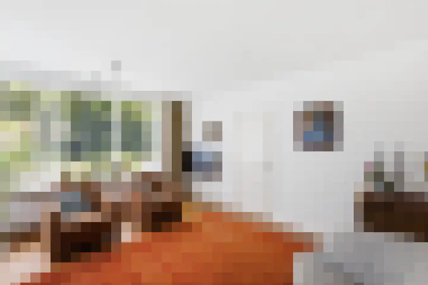Marijkestraat 7 Hulst thumbnail 11