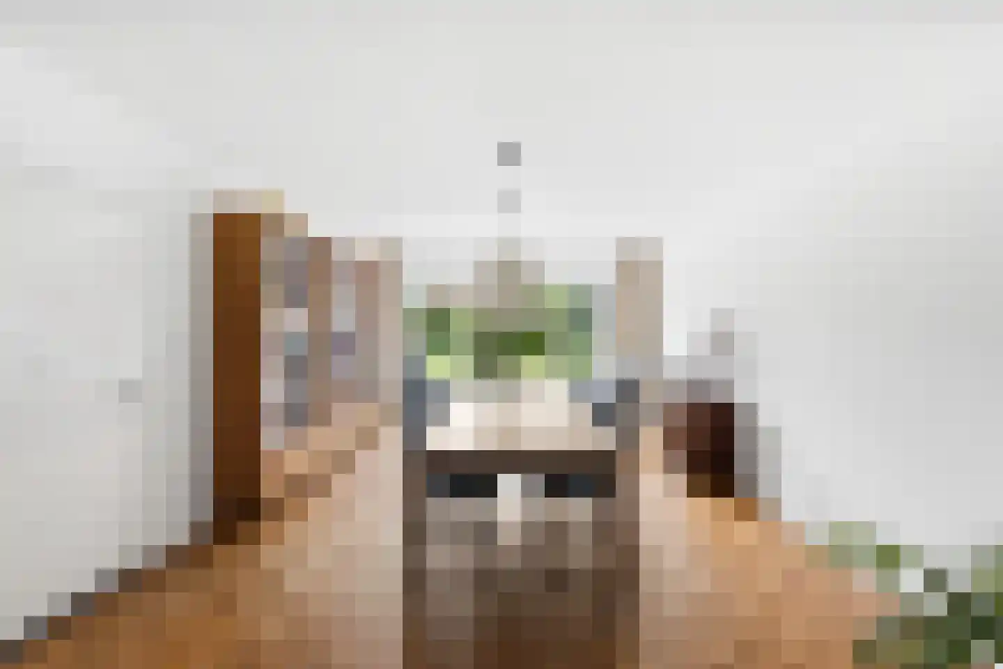 Marijkestraat 7 Hulst thumbnail 12