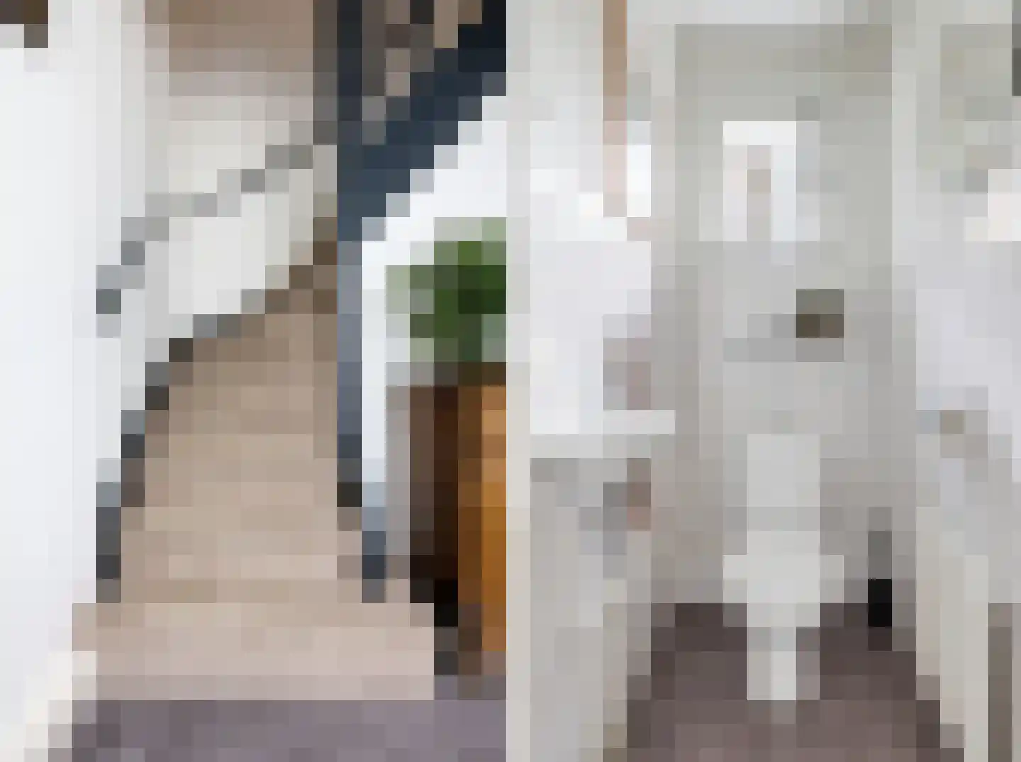 Marijkestraat 7 Hulst thumbnail 24