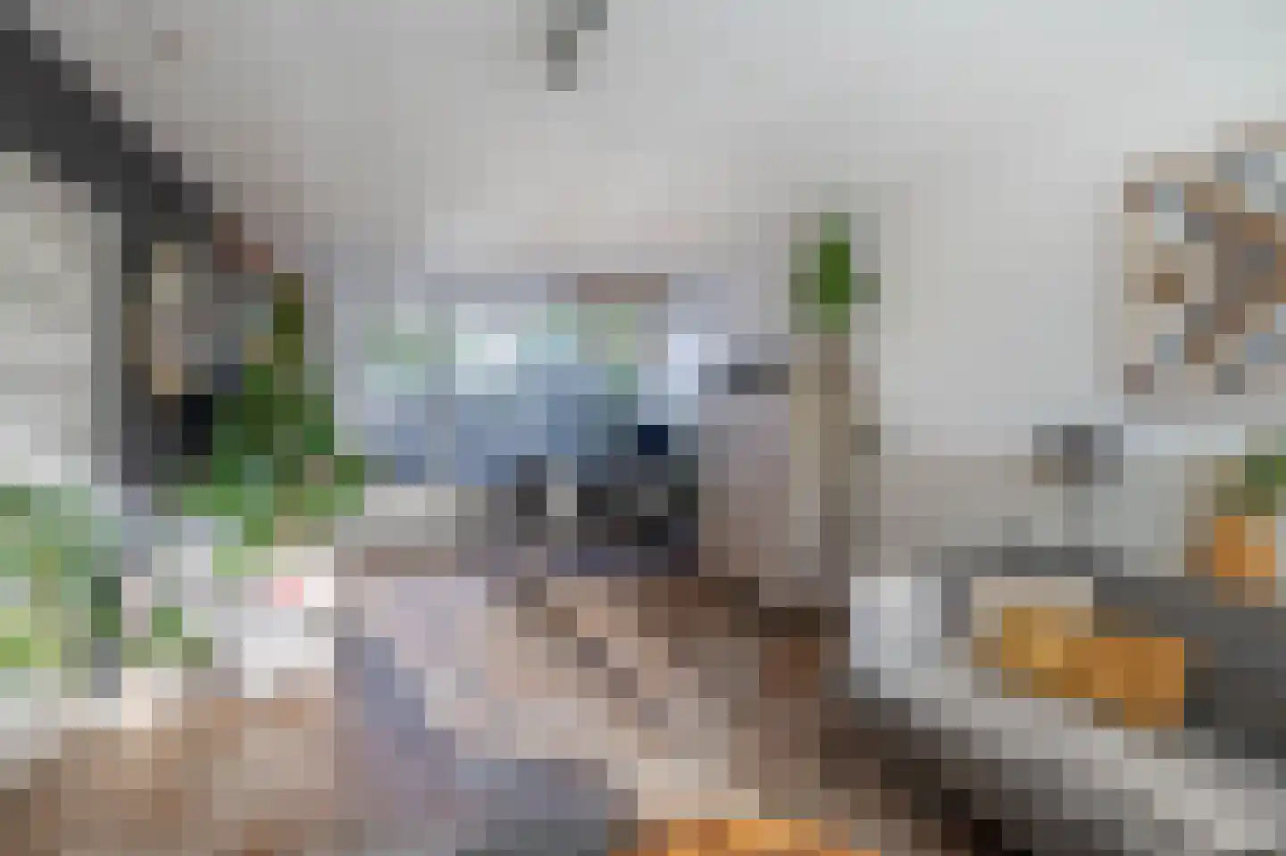 Marijkestraat 7 Zoetermeer thumbnail 12