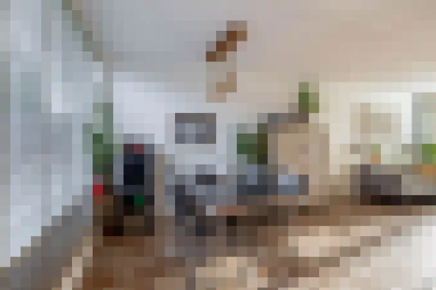 Marijkestraat 7 Zoetermeer thumbnail 14