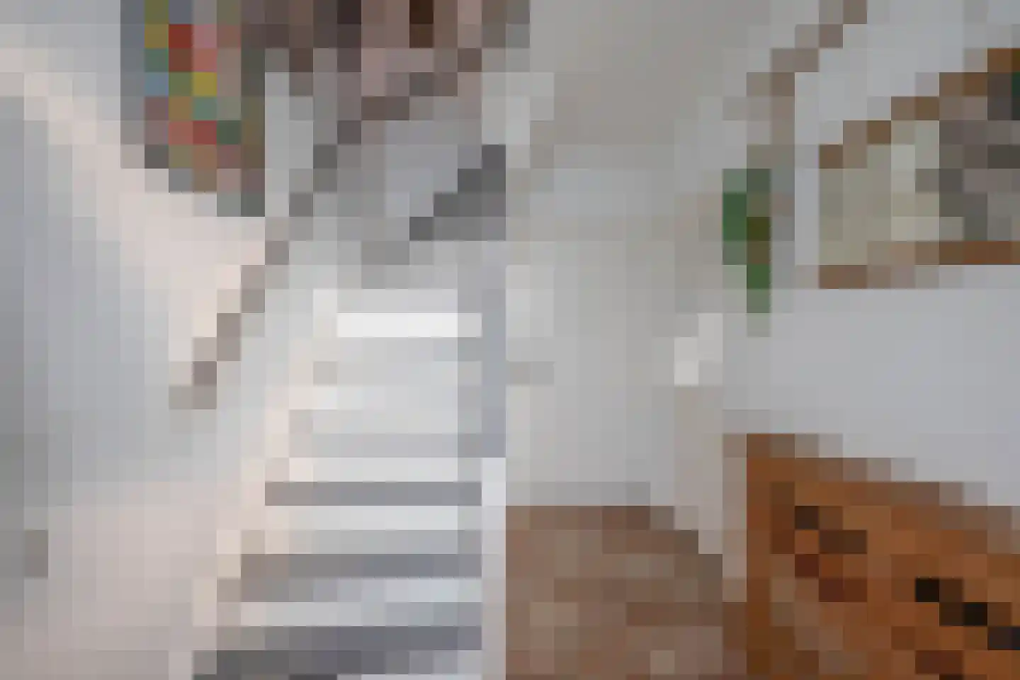 Marijkestraat 7 Zoetermeer thumbnail 8