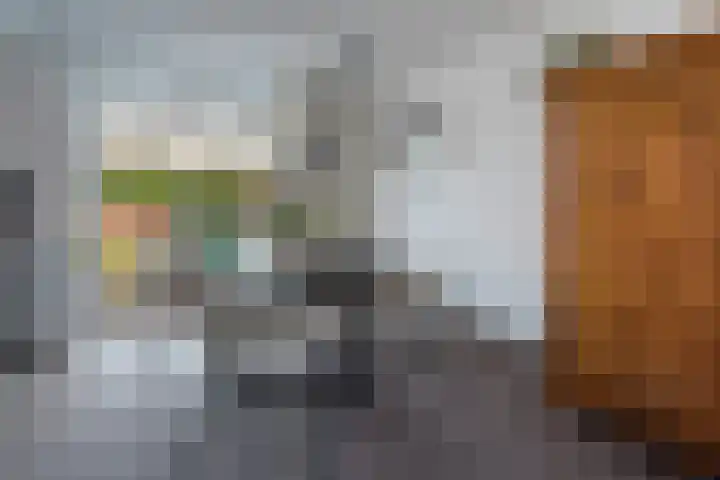 Marijkestraat 8 Landgraaf thumbnail 10