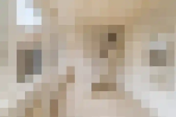 Marijkestraat 8 Noordwijk thumbnail 31