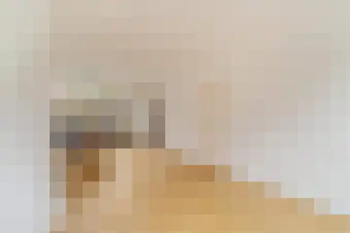 Marijkestraat 8 Noordwijk thumbnail 5