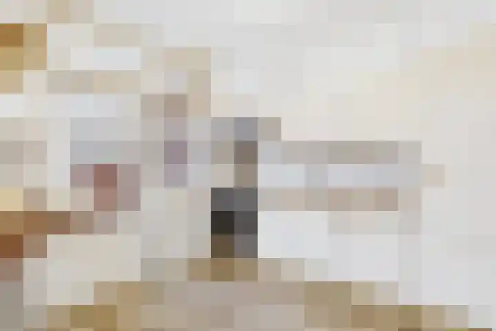 Marijkestraat 9 Hoek thumbnail 10