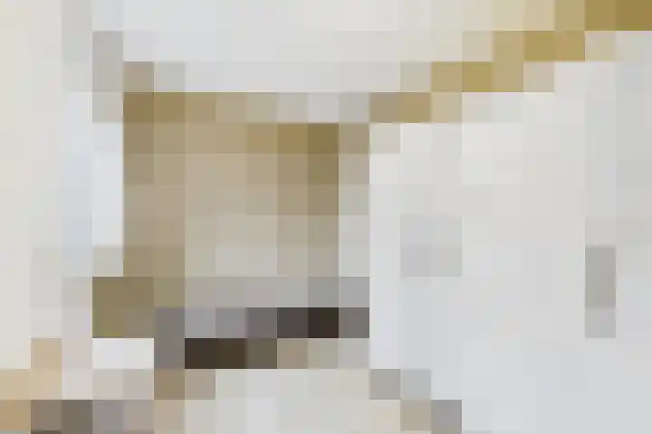 Marijkestraat 9 Hoek thumbnail 13