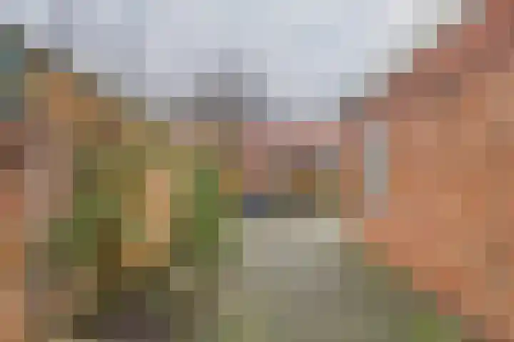 Marijkestraat 9 Hoek thumbnail 23