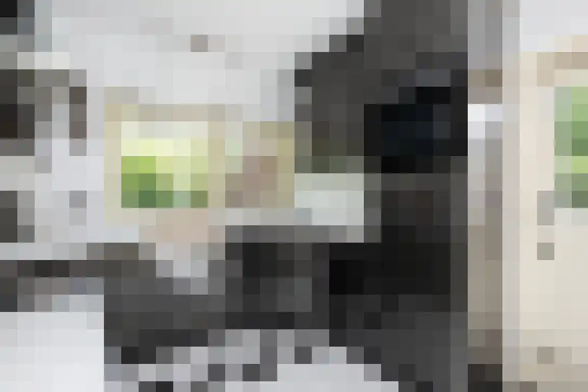 Marijkeweg 16 Ouddorp thumbnail 18