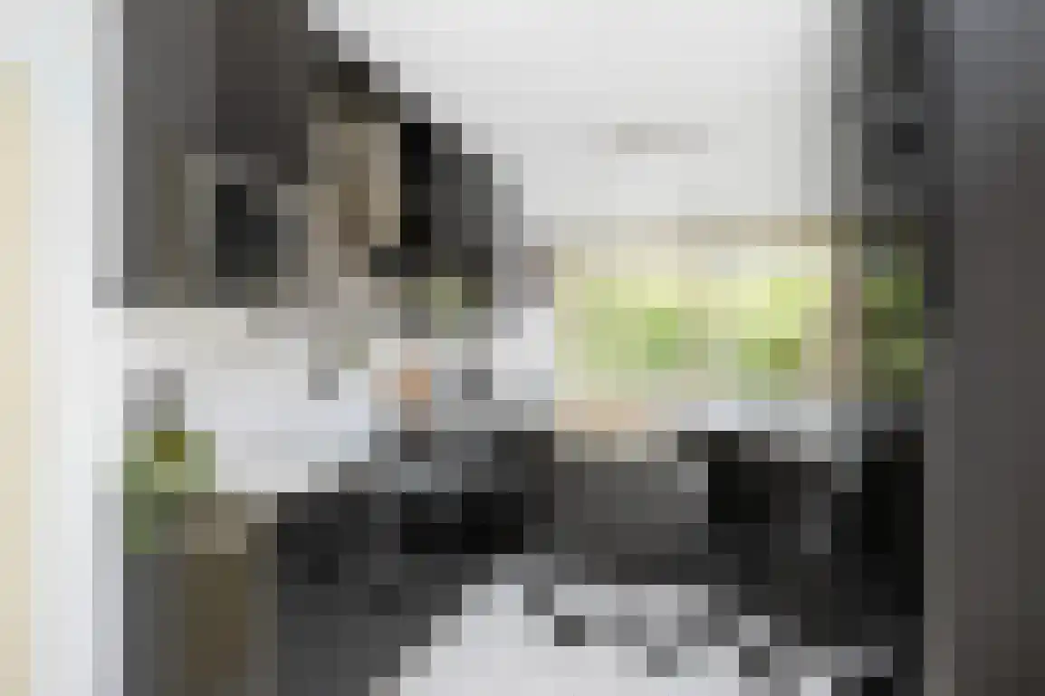 Marijkeweg 16 Ouddorp thumbnail 19