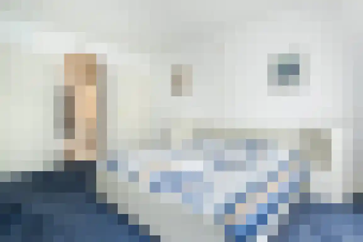Marijkeweg 16 Ouddorp thumbnail 22