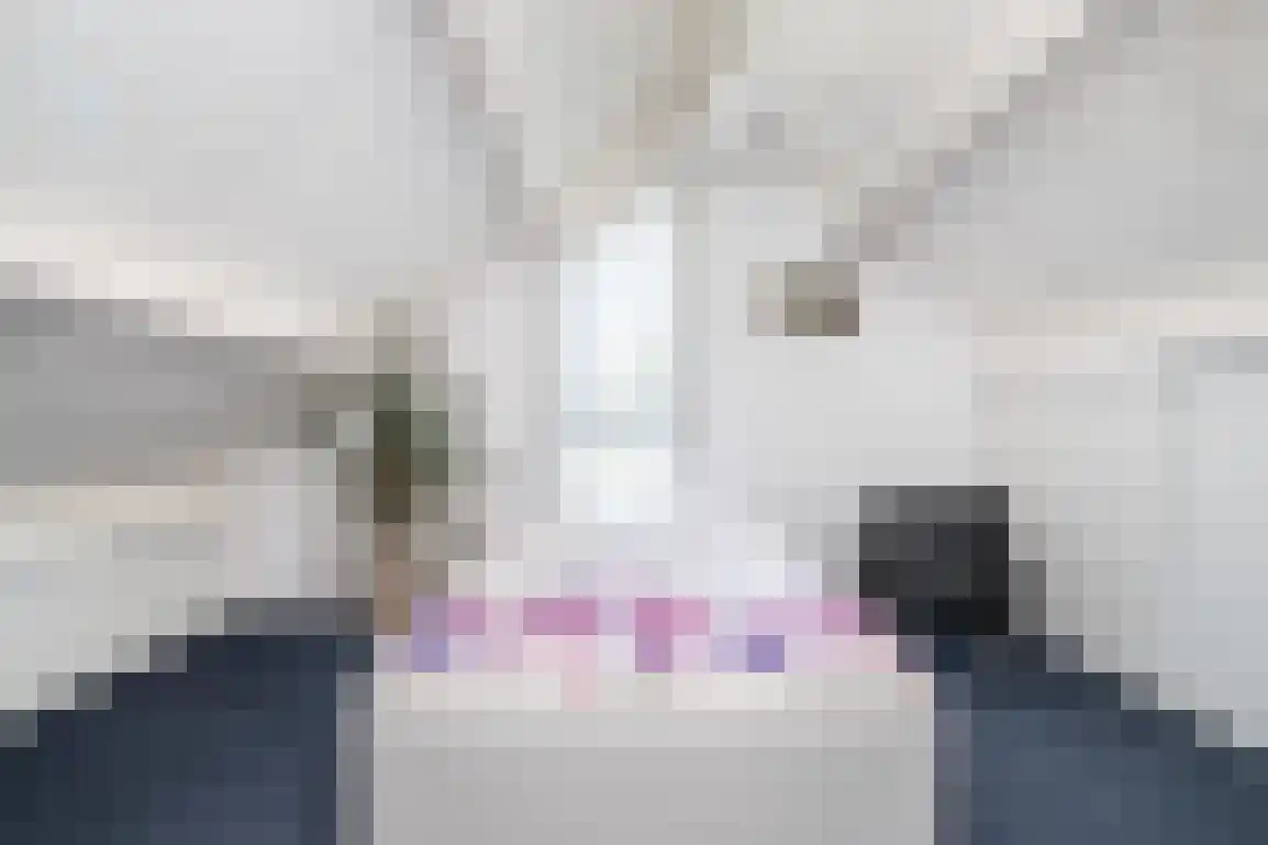 Marijkeweg 16 Ouddorp thumbnail 31
