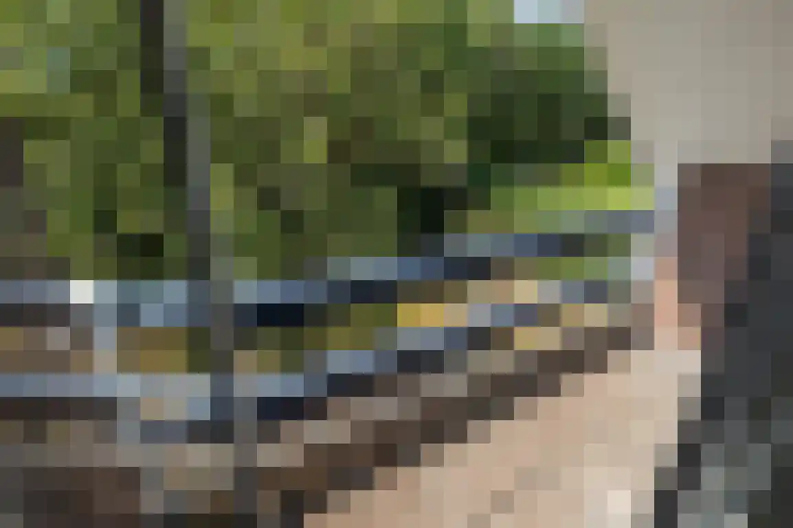 Marijkeweg 16 Ouddorp thumbnail 37
