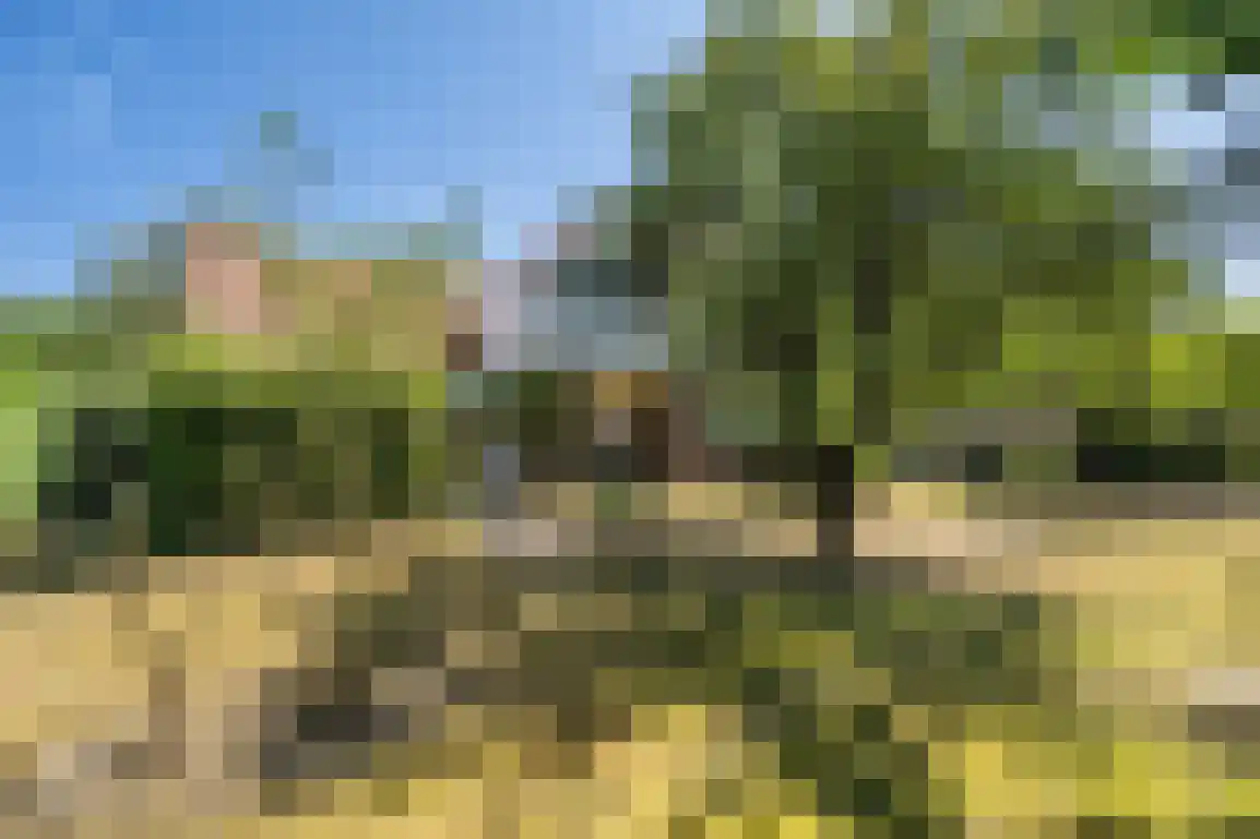 Marijkeweg 16 Ouddorp thumbnail 42