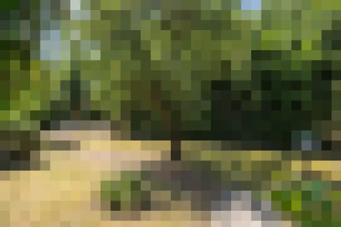 Marijkeweg 16 Ouddorp thumbnail 44