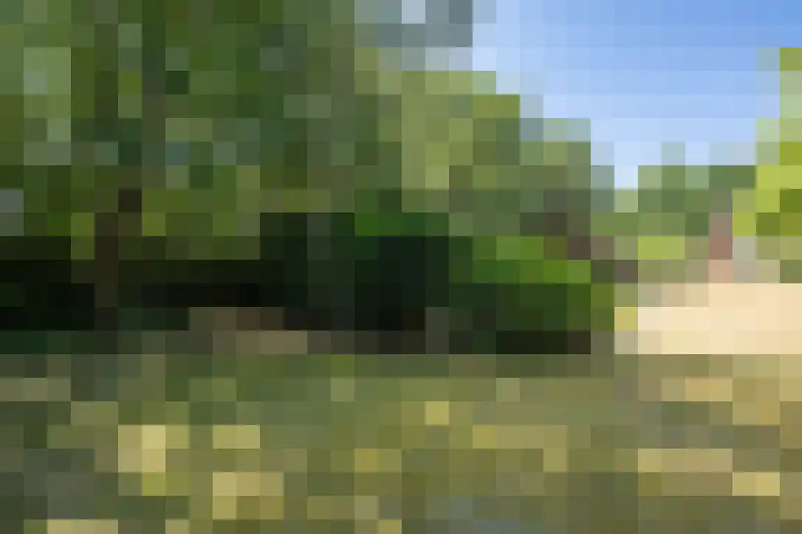 Marijkeweg 16 Ouddorp thumbnail 54