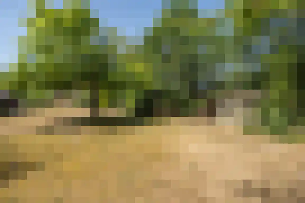 Marijkeweg 16 Ouddorp thumbnail 55