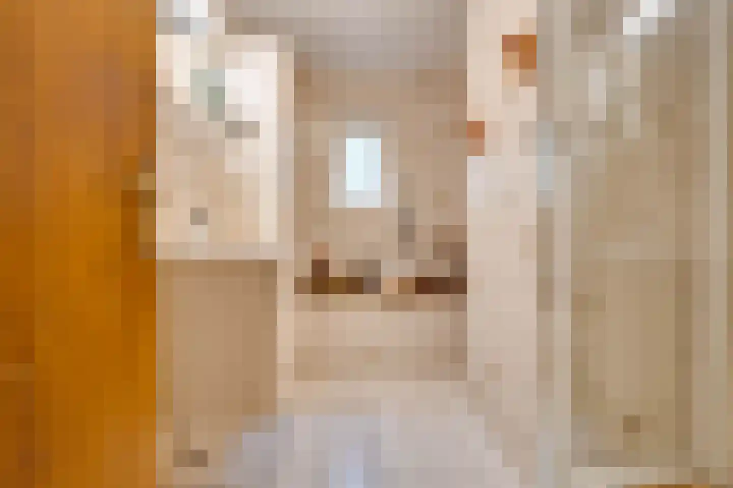 Marijkeweg 23 Ouddorp thumbnail 18