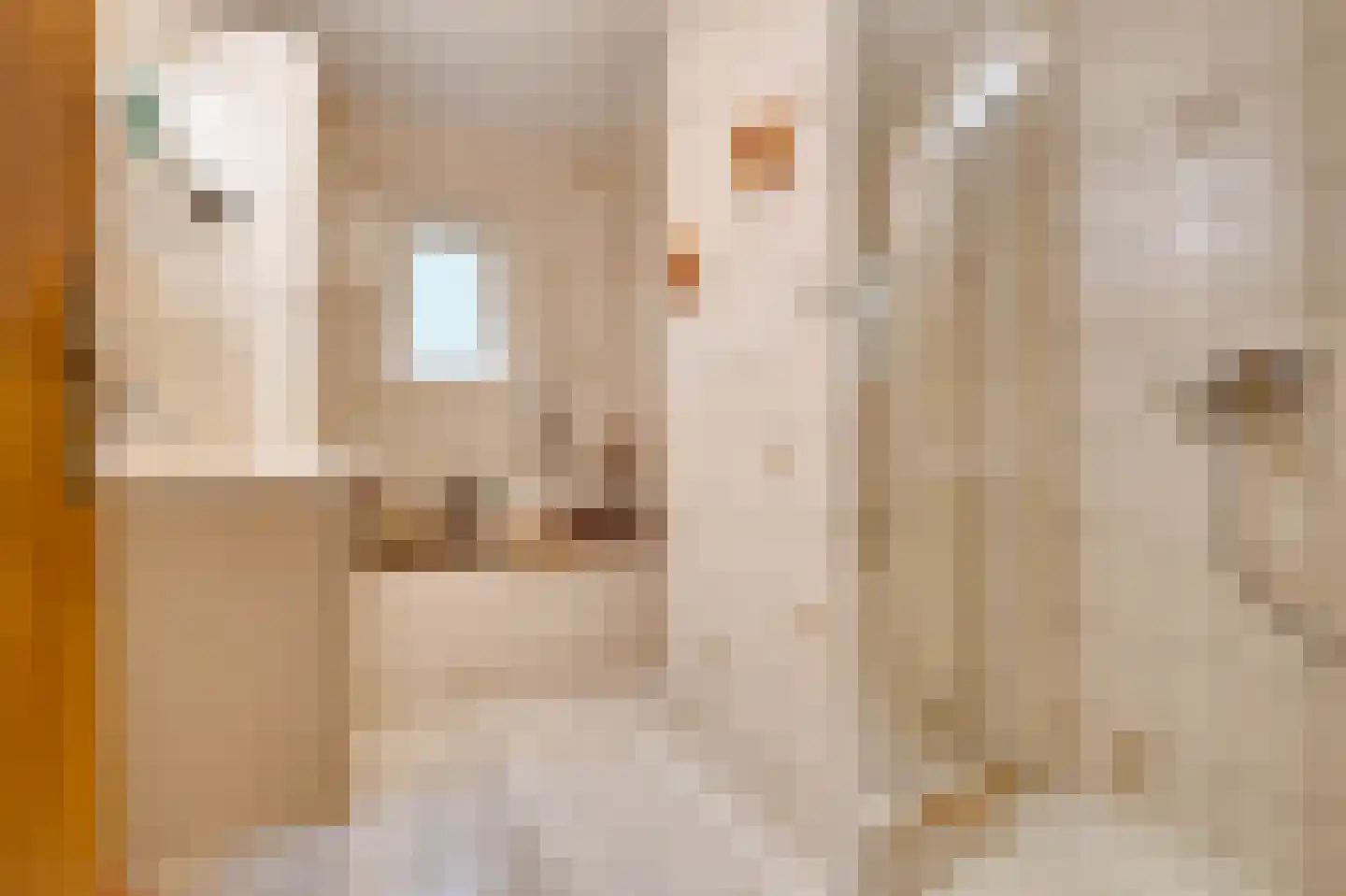 Marijkeweg 23 Ouddorp thumbnail 20