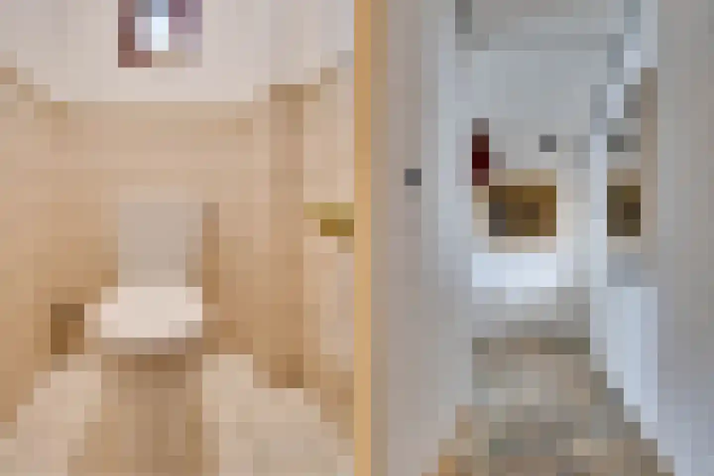 Marijkeweg 23 Ouddorp thumbnail 23