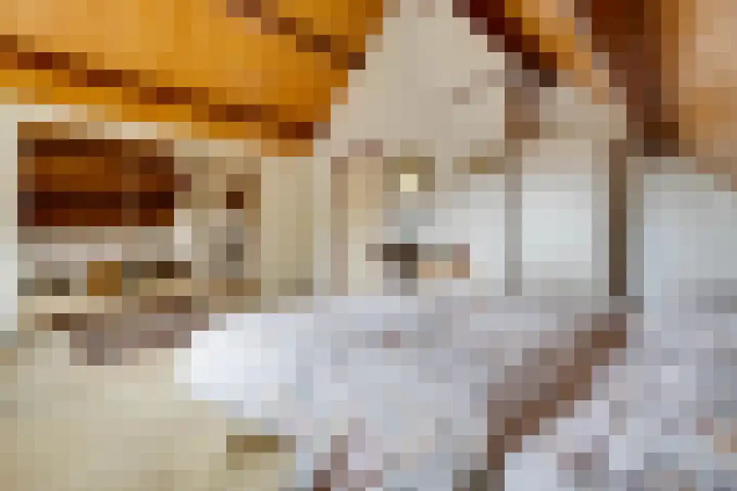 Marijkeweg 23 Ouddorp thumbnail 30