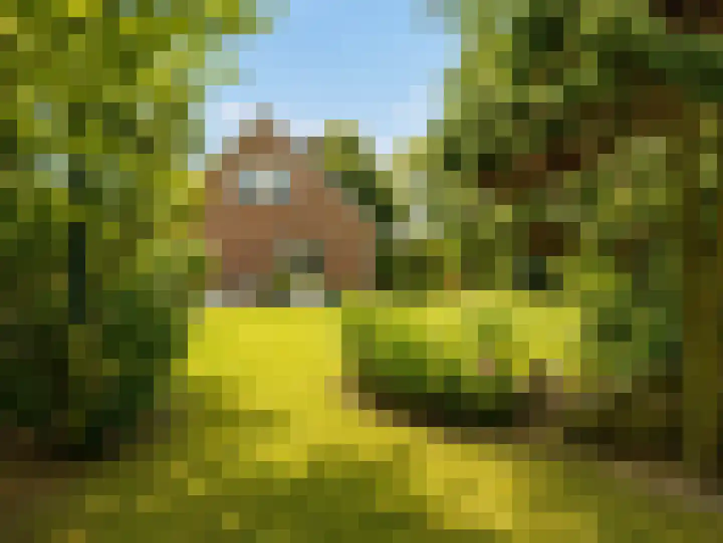 Marijkeweg 23 Ouddorp thumbnail 33