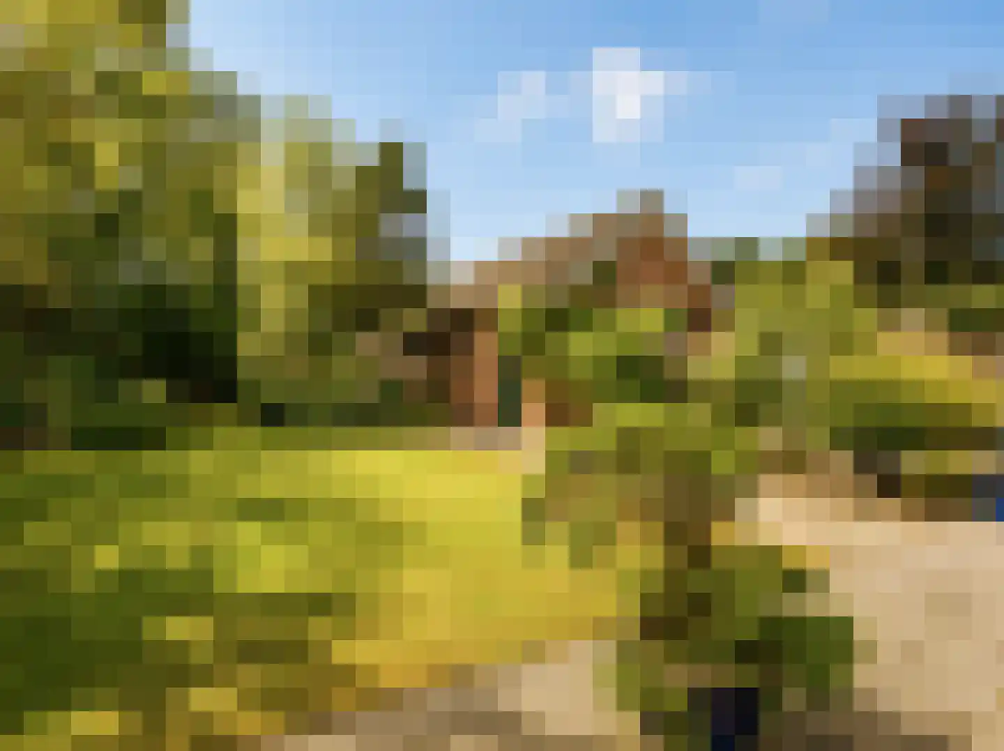 Marijkeweg 23 Ouddorp thumbnail 34